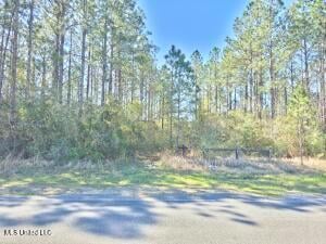 0 16th Section Rd Unit 183154, Pass Christian, MS 39571