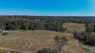 144 acres Sumners Rd, Horton, AL 35980