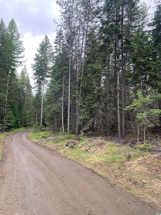 21XX Clark Lake Rd, Addy, WA 99101