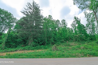 523 Mahoney Rd, Oliver Springs, TN 37840