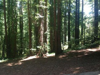 774 Dearborn Park Rd, Pescadero, CA 94060