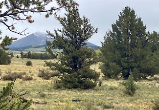 1344 Silverheels Rd, Fairplay, CO 80440