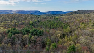 125 van Keuren Rd, Wawarsing, NY 12428