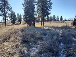 0 Meadow View Dr Unit Oregon Shores Unit 2, Chiloquin, OR 97624