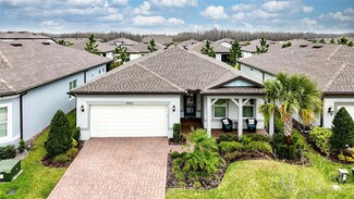 18955 Sailors Delight Pass, Land O Lakes, FL 34638