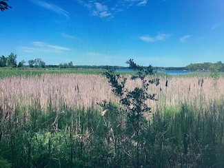 xxx 388th St, South Harbor Township, MN 56359