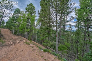 251 Osoeola Rd, Woodland Park, CO 80863