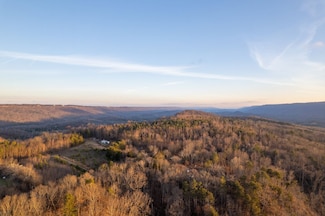 00 County Road 792, Flat Rock, AL 35966