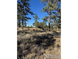 2225 Montcalm Dr, Livermore, CO 80536