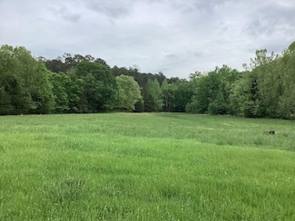 Ryan Rd, Oden, AR 71961