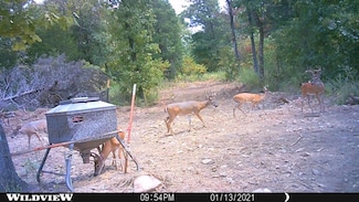 Tract 3 Hwy 2, Yanush, OK 74574