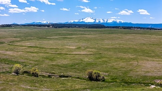 0 Hwy 83, Franktown, CO 80116