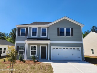 4462 Parsons Mill Dr Unit Lot 125, Castle Hayne, NC 28429