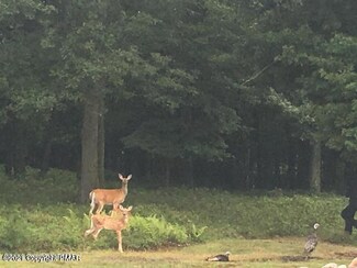 Lot 2601 Winding Way, Albrightsvlle, PA 18210