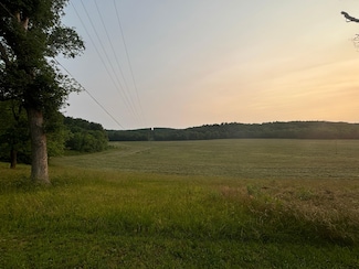 000 State Highway D, Greenville, MO 63944