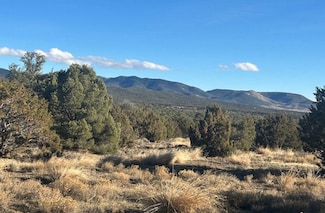 S of Wells, Wells, NV 89835