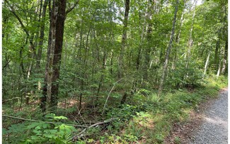 LT 19 Charlottes Web Dr, Ellijay, GA 30540