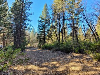 59791 California 70, Blairsden, CA 96103