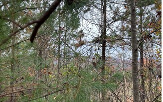 LT 10 Dasali Way, Murphy, NC 28906