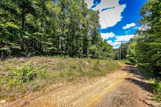 1256 Peyton Mountain Rd, Dennard, AR 72629