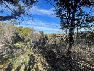 8533 Crichton Ct, Cleburne, TX 76033
