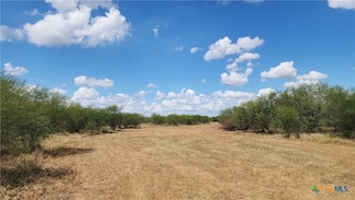 00 Schubert Rd, Victoria, TX 77905