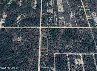 128-5-9 Royal Way, Interlachen, FL 32148