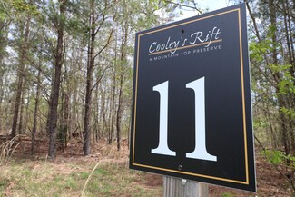 11 Cooley's Rift Blvd, Monteagle, TN 37356