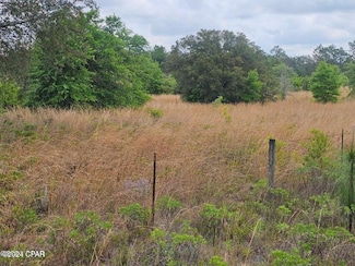 00 Sand Pond Rd, Chipley, FL 32428
