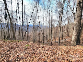 75 Rimrock Ridge Unit I, Clyde, NC 28721