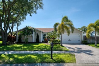 265 Overstreet Ct, Palm Harbor, FL 34683