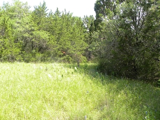 1303 Ash Ct, Whitney, TX 76692