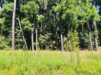 637 Sandy Ridge Rd, Tyner, NC 27980