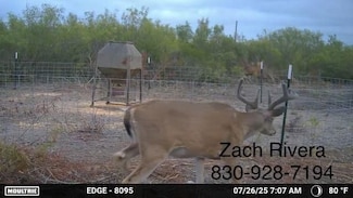 0 J D White Rd, Freer, TX 78384