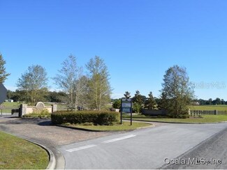 12.68ac NE 47th Ave, Anthony, FL 32617