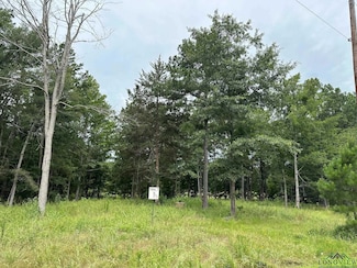 TBD Shiloh Rd Tract 5, White Oak, TX 75693