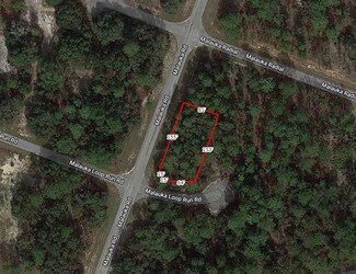 0 Maluka Loop Run Rd Unit MFRA4612066, Ocklawaha, FL 32179