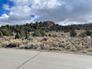 2311 Lousetown Rd, Virginia City, NV 89521