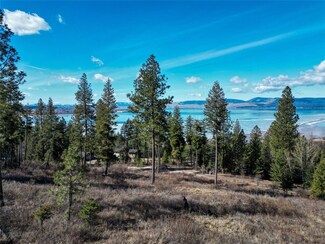 NHN E Bay Ln, Polson, MT 59860