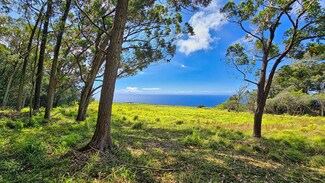 95-3940 Halemauna Rd, Naalehu, HI 96772