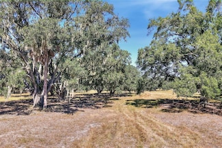 470 Moccasin Hollow Rd, Lithia, FL 33547