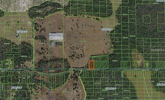 0 Deen Still Rd E Unit MFRA4583222, Polk City, FL 33868
