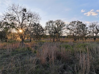 9125 County Line Rd E, Fort Meade, FL 33841