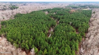 0 Highway 15 Unit 4105538, Noxapater, MS 39346