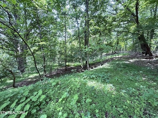 5.74 acres Bailey Cemetary Rd, Tazewell, TN 37879
