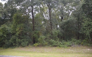 251 SW Timberland Ct, Lake City, FL 32024