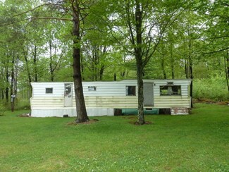 NA Morris Run Rd, Morris Run, PA 16939