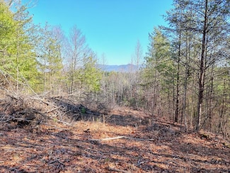 125 Milk & Honey Dr, Murphy, NC 28906