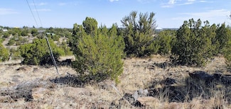 1794 Queen Creek Place, Show Low, AZ 85901