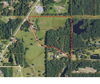 TBD Shelby Rhyne Davis Rd, Waynesboro, MS 39367